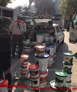 Tổng Kho Kova Vàng Chanh Trong Nhà Cao Cấp