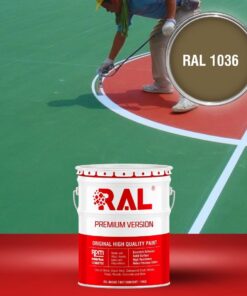 B32 Son san the thao 2IN1 Lot phu RAL 1036 1