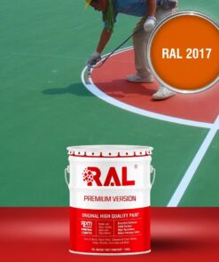 B32 Son san the thao 2IN1 Lot phu RAL 2017 1