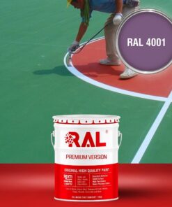 B32 Son san the thao 2IN1 Lot phu RAL 4001 1