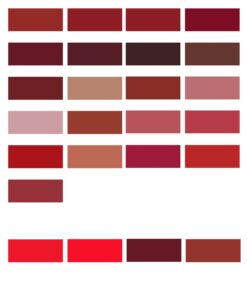 Bảng Màu Sơn Epoxy RAL Nhóm Màu Đỏ – Chuẩn Màu Sơn Epoxy Quốc Tế 3 bang mau son epoxy ral nhom mau do2